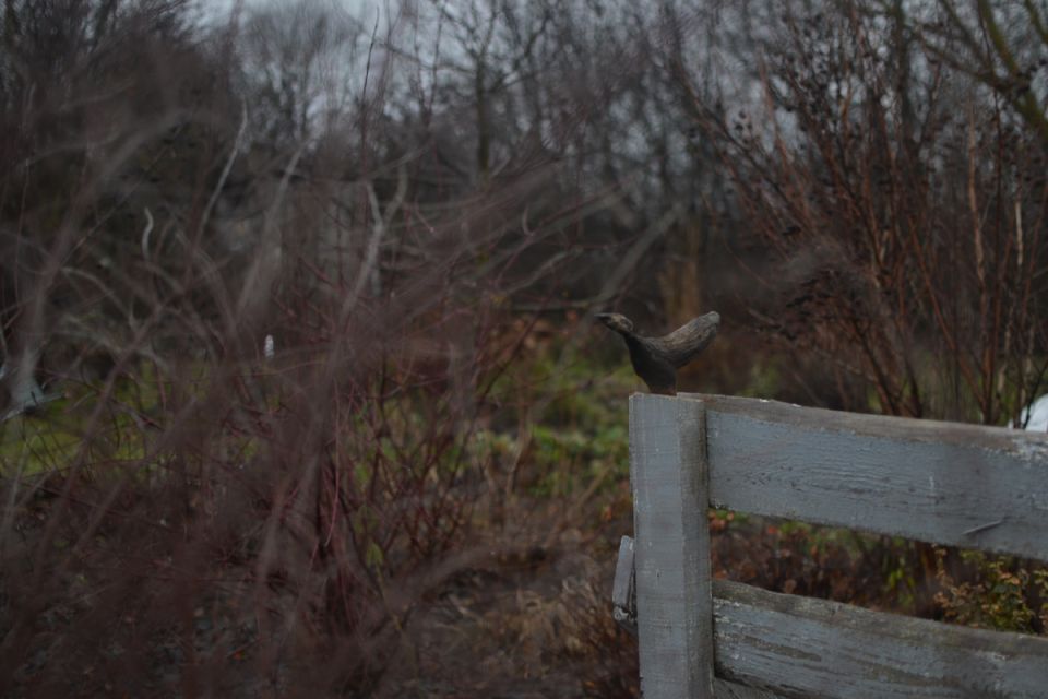 ��� ����� ��������� �� ������� ���������