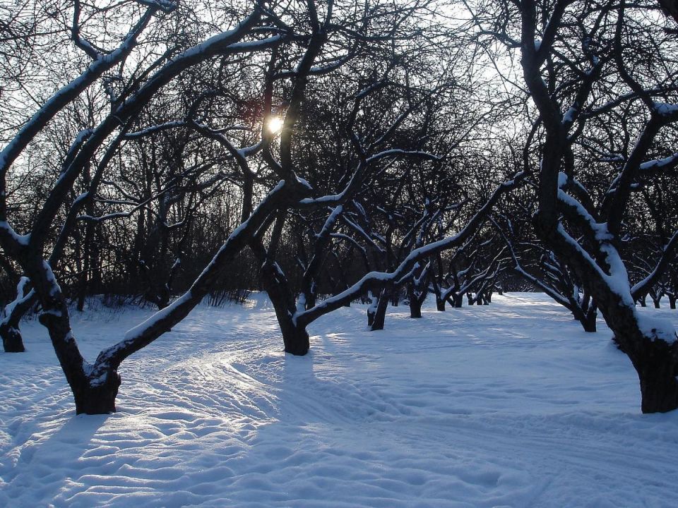 ������ ����� ��� ���������: ��� ����������� ������ � ������