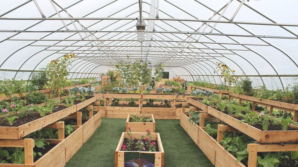 ����� �����: ������ �������� �������� � ��������� �����