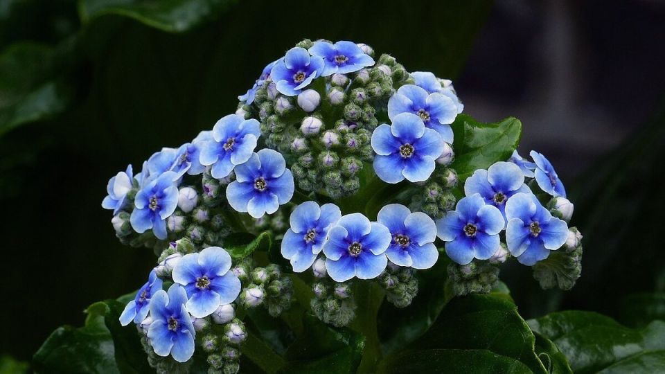 ��� ��������� ���������� ��� ���