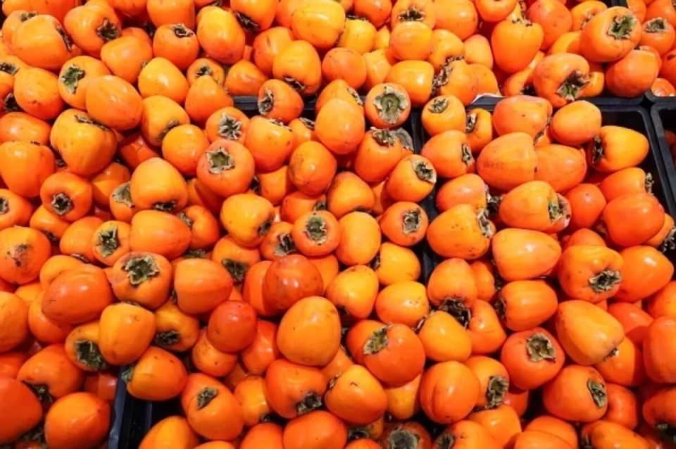 ������, ���� � �����: ��������� � ������� ��� ��������