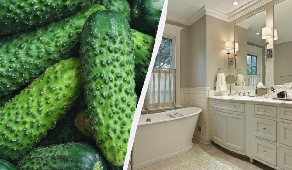 ��� ������ ����� ������ ���� ������� �� �����������