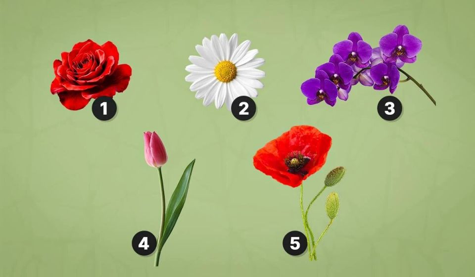 ��� ����� ����� �������� ���� ��������: ����������� ����������