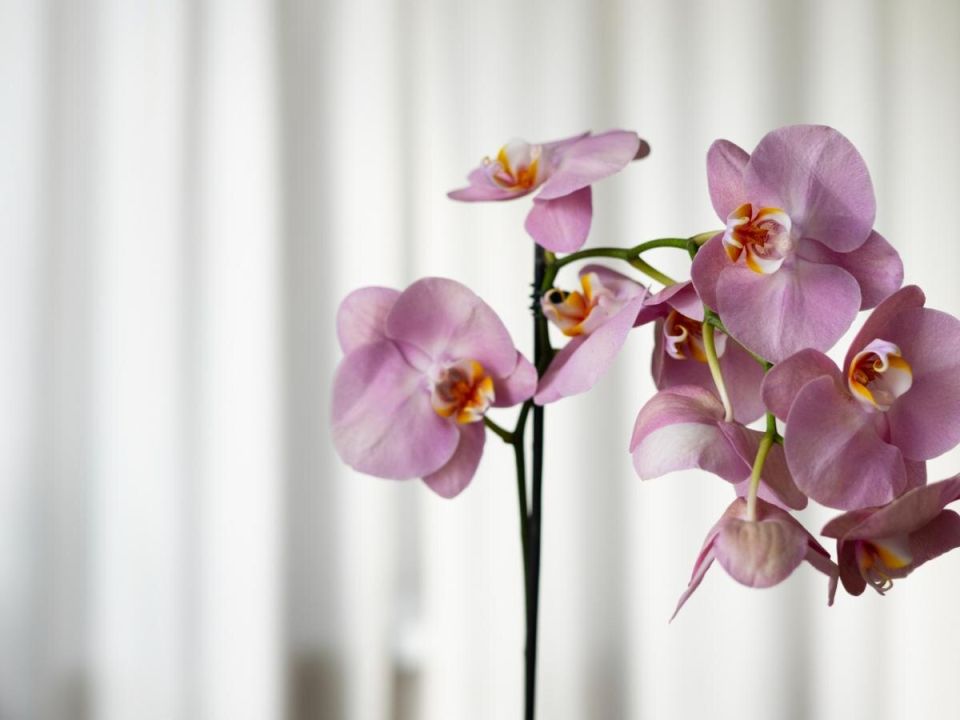 ������ ���� ������� �� ������: 5 ������ � �������� ����� ����������