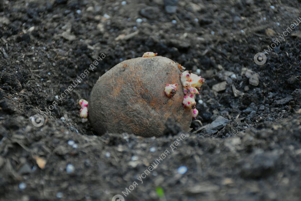 ��� ��������� ��������� ����� ��� ������� ���������