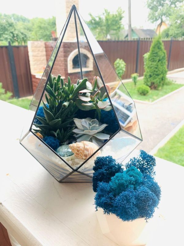 Как ухаживать за флорариумом: полезные советы