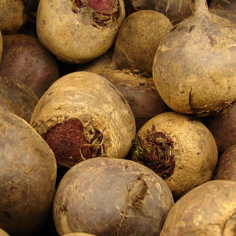 ������ ������ ����� ���������: ������ �������� ��������