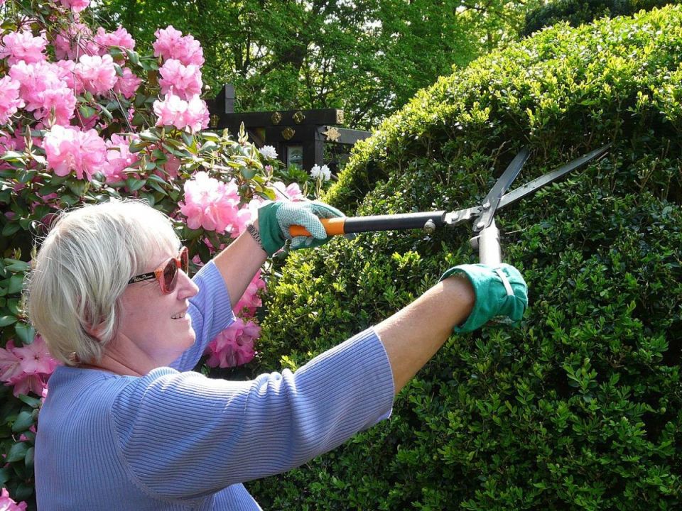 Почему аминокислоты так важны для растений и как их эффективно использовать